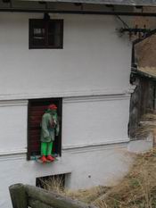 Vodnick� pant�ta.